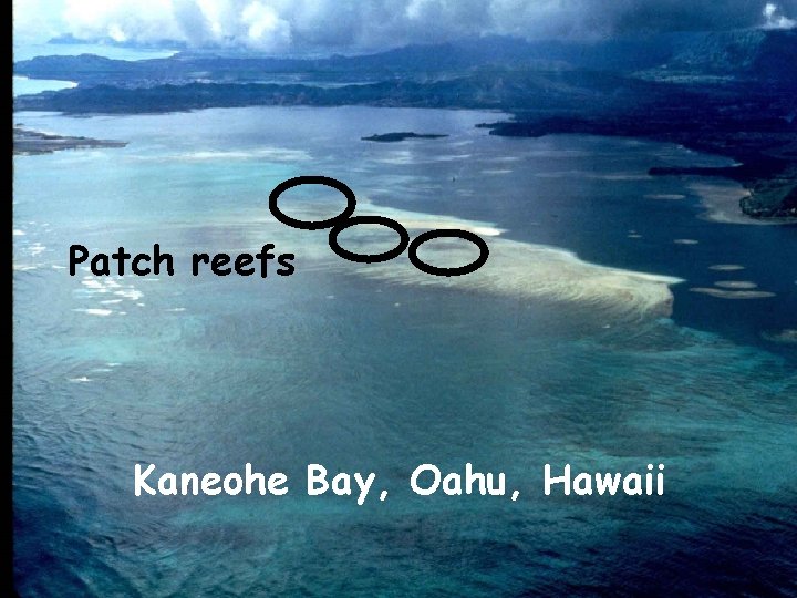 Patch reefs Kaneohe Bay, Oahu, Hawaii 