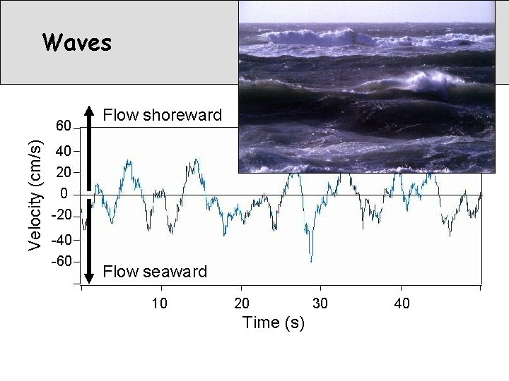 Waves Velocity (cm/s) 60 Flow shoreward 40 20 0 -20 -40 -60 Flow seaward