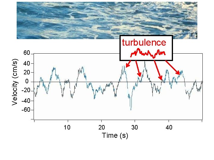 turbulence Velocity (cm/s) 60 40 20 0 -20 -40 -60 10 20 Time (s)