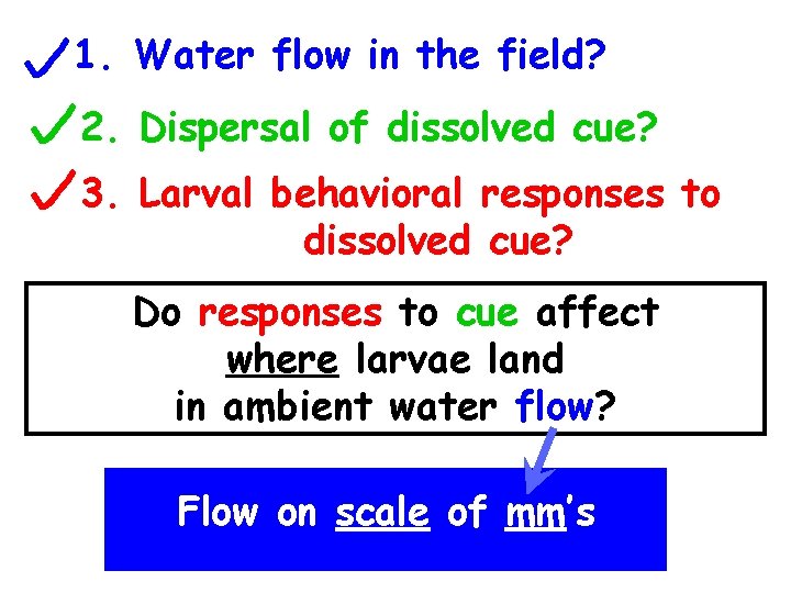 1. Water flow in the field? 2. Dispersal of dissolved cue? 3. Larval behavioral