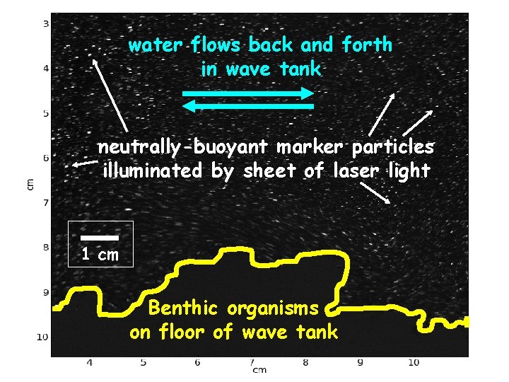 water flows back and forth in wave tank neutrally-buoyant marker particles illuminated by sheet