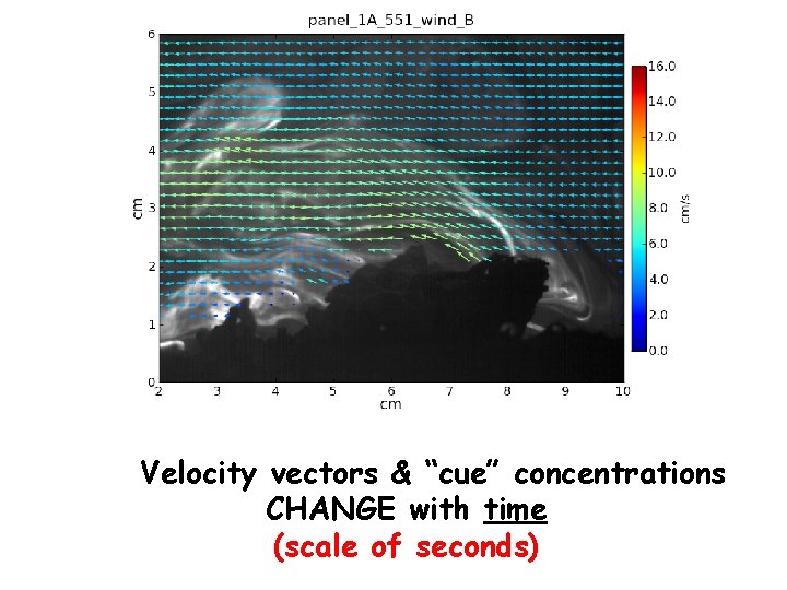 instantaneous velocity&vectors (PIV) Velocity vectors “cue” concentrations (Red – fast)with (Bluetime – slow) CHANGE