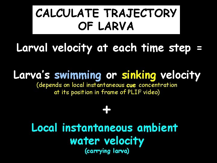 CALCULATE TRAJECTORY OF LARVA Larval velocity at each time step = Larva’s swimming or