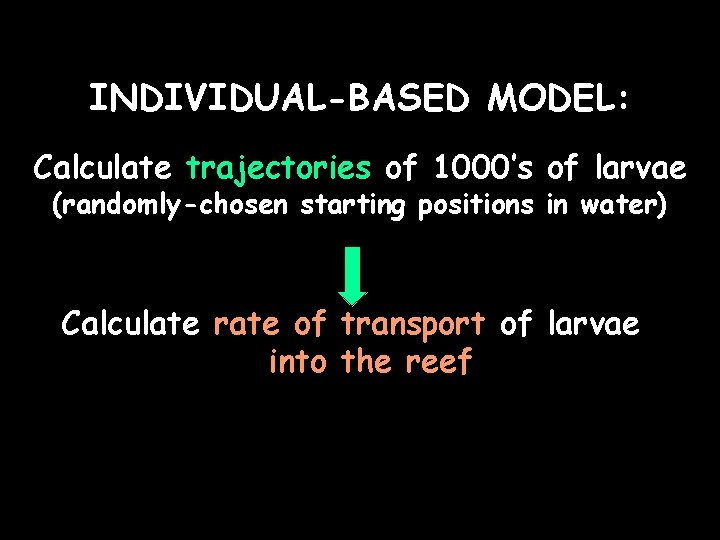 INDIVIDUAL-BASED MODEL: Calculate trajectories of 1000’s of larvae (randomly-chosen starting positions in water) Calculate