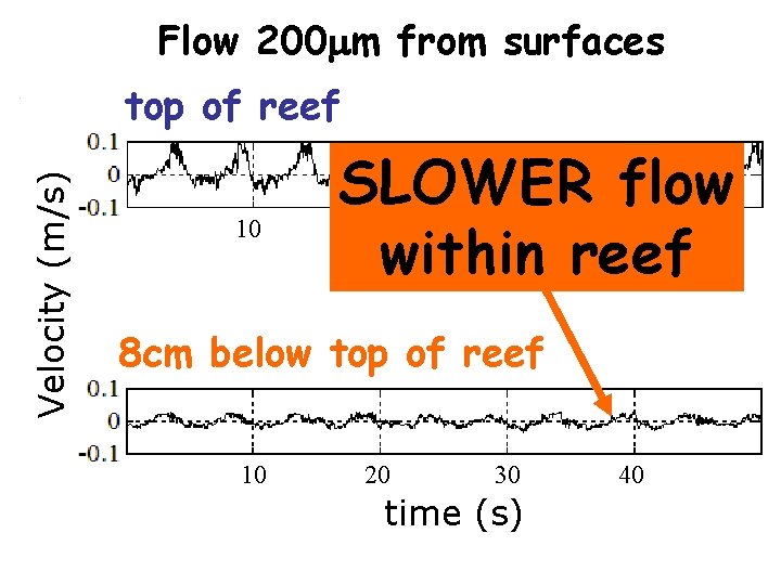 Flow 200 mm from surfaces Velocity (m/s) top of reef 10 SLOWER flow 20