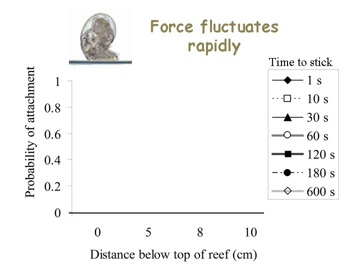 Force fluctuates rapidly Time to stick 