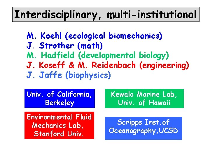 Interdisciplinary, multi-institutional M. Koehl (ecological biomechanics) J. Strother (math) M. Hadfield (developmental biology) J.