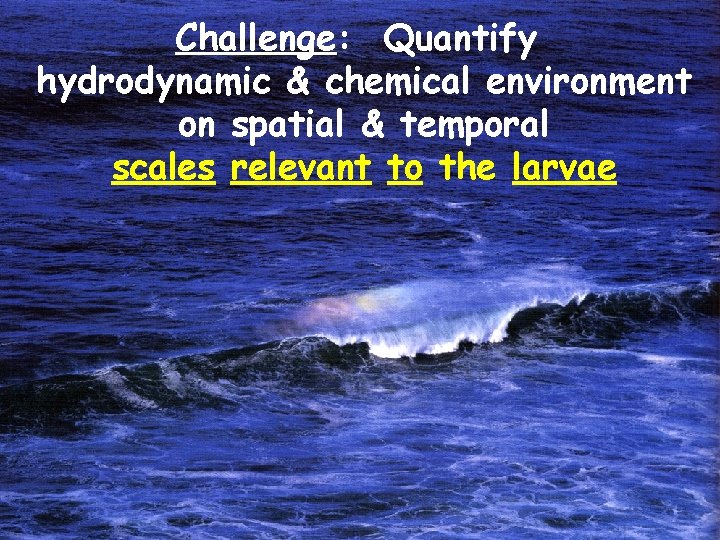 Challenge: Quantify hydrodynamic & chemical environment on spatial & temporal scales relevant to the