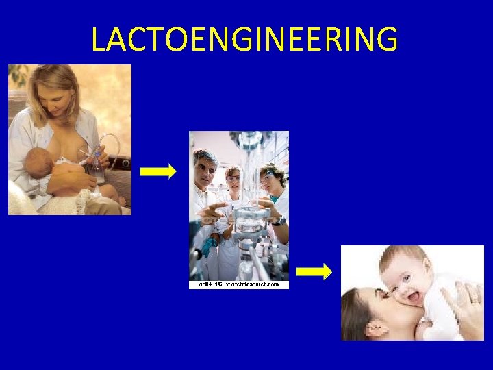 LACTOENGINEERING 
