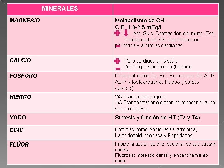 MINERALES. MAGNESIO Metabolismo de CH. C. E. 1. 8 -2. 5 m. Eq/l Act.