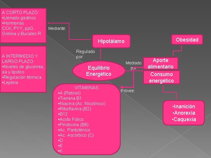 A CORTO PLAZO: • Llenado gástrico • Hormonas CCK, PYY, pp. G, Grelina y
