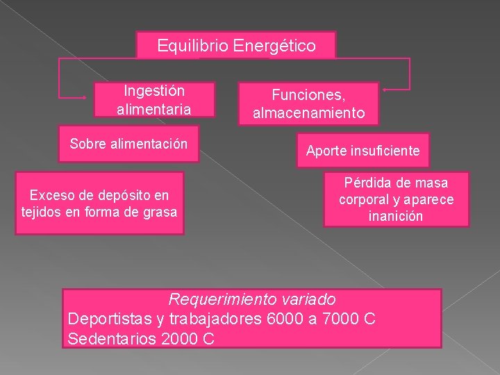 Equilibrio Energético Ingestión alimentaria Sobre alimentación Exceso de depósito en tejidos en forma de