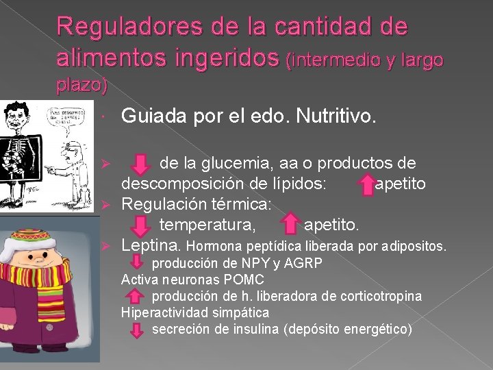 Reguladores de la cantidad de alimentos ingeridos (intermedio y largo plazo) Guiada por el