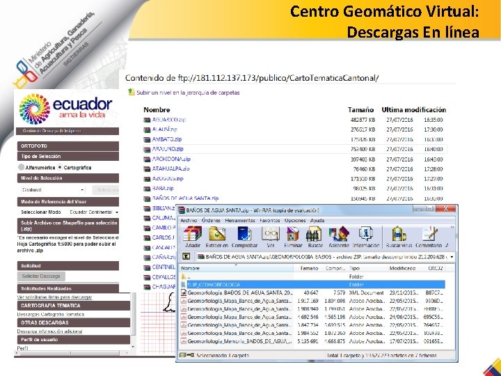 Centro Geomático Virtual: Descargas En línea 