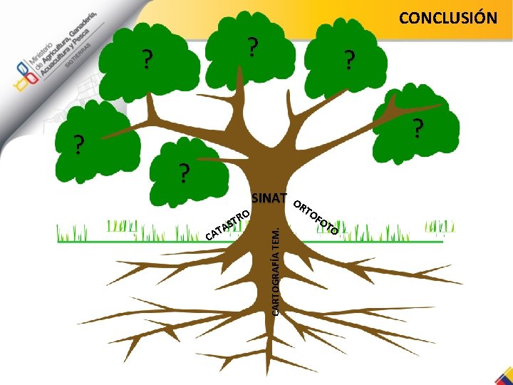 CONCLUSIÓN ? ? ? ? SINAT O TR S TA CA CARTOGRAFÍA TEM. ?