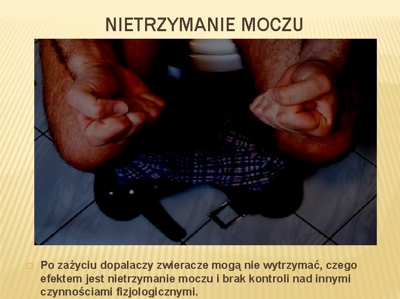 NIETRZYMANIE MOCZU � Po zażyciu dopalaczy zwieracze mogą nie wytrzymać, czego efektem jest nietrzymanie