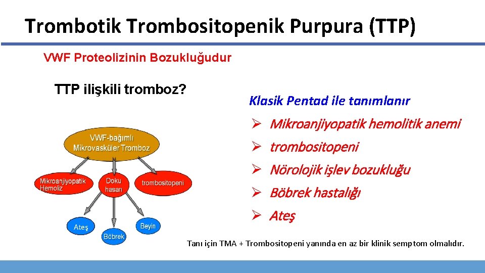 Trombotik Trombositopenik Purpura (TTP) VWF Proteolizinin Bozukluğudur TTP ilişkili tromboz? Klasik Pentad ile tanımlanır