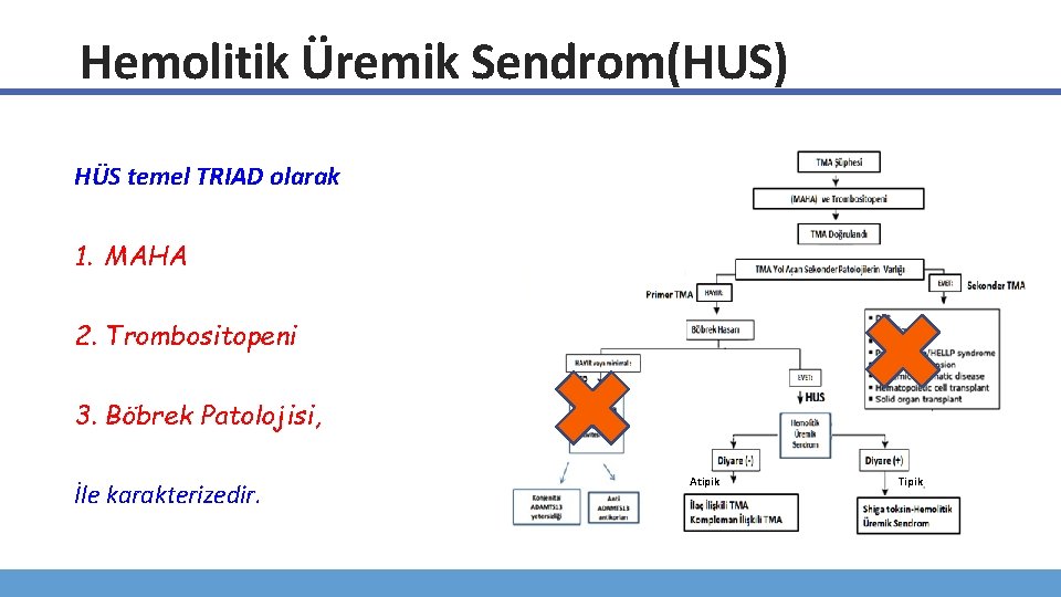 Hemolitik Üremik Sendrom(HUS) HÜS temel TRIAD olarak 1. MAHA 2. Trombositopeni 3. Böbrek Patolojisi,