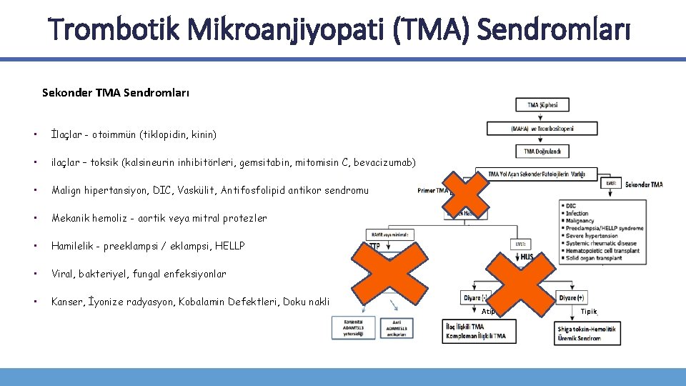 Trombotik Mikroanjiyopati (TMA) Sendromları Sekonder TMA Sendromları • İlaçlar - otoimmün (tiklopidin, kinin) •