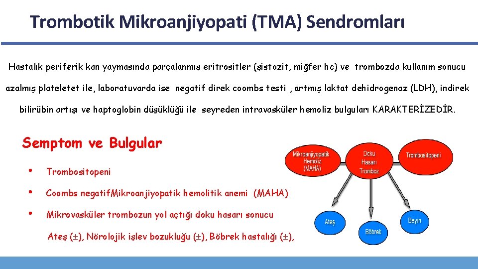 Trombotik Mikroanjiyopati (TMA) Sendromları Hastalık periferik kan yaymasında parçalanmış eritrositler (şistozit, miğfer hc) ve