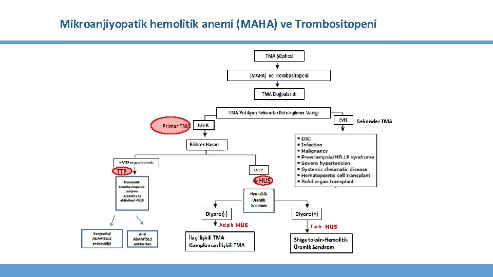 Mikroanjiyopatik hemolitik anemi (MAHA) ve Trombositopeni Atipik HUS Tipik HUS 