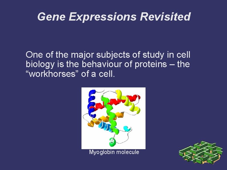 Gene Expressions Revisited One of the major subjects of study in cell biology is