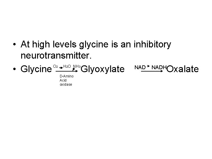 • At high levels glycine is an inhibitory neurotransmitter. O H O NH • At high levels glycine is an inhibitory neurotransmitter. O H O NH