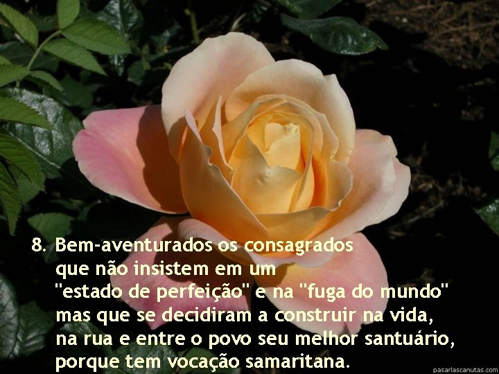 8. Bem-aventurados os consagrados que não insistem em um "estado de perfeição" e na