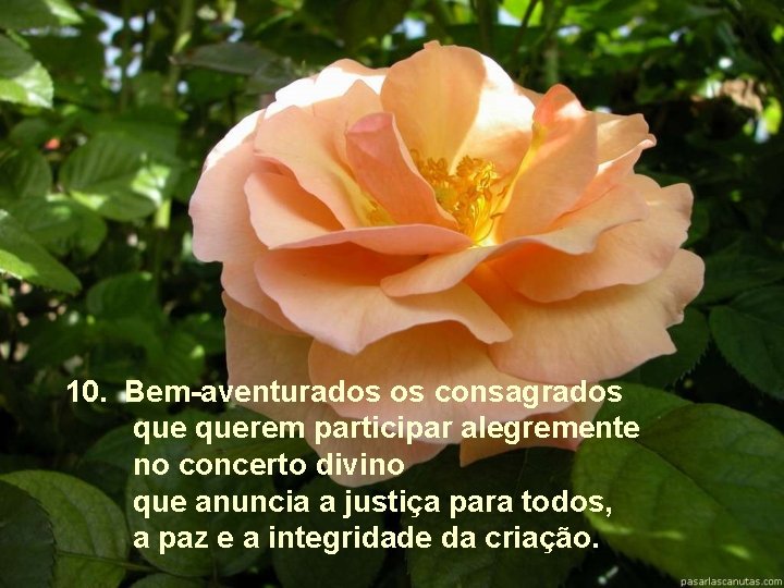 10. Bem-aventurados os consagrados querem participar alegremente no concerto divino que anuncia a justiça