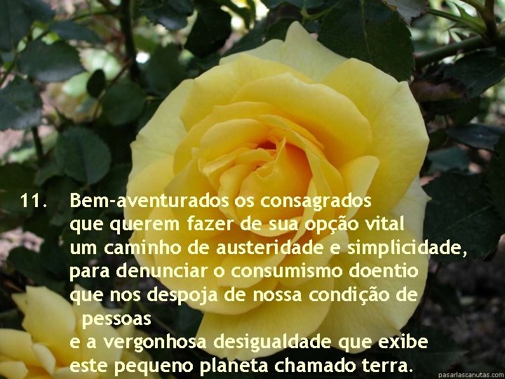 11. Bem-aventurados os consagrados querem fazer de sua opção vital um caminho de austeridade