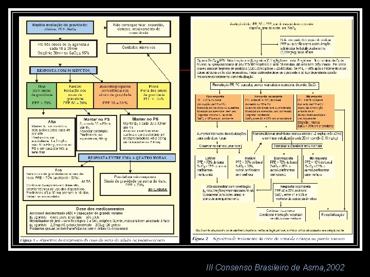 III Consenso Brasileiro de Asma, 2002 