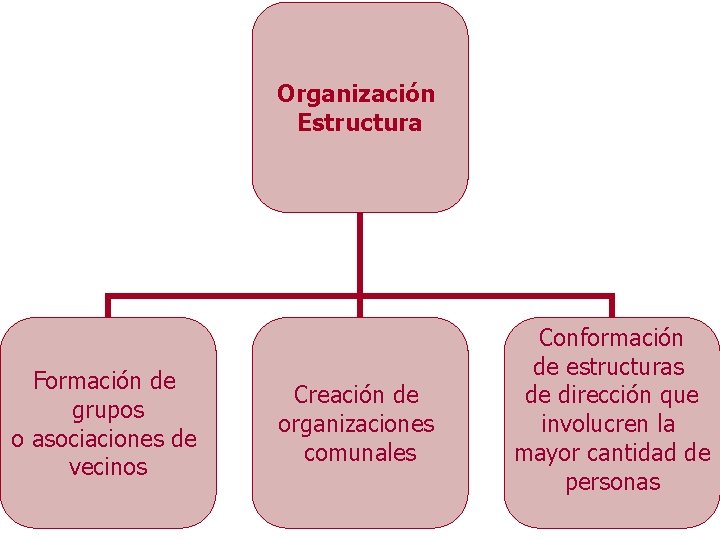 Organización Estructura Formación de grupos o asociaciones de vecinos Creación de organizaciones comunales Conformación