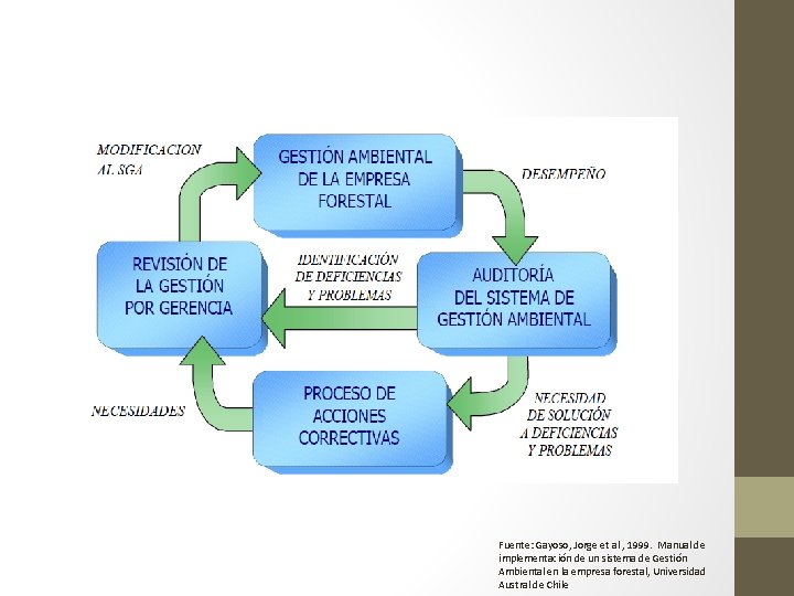 Fuente: Gayoso, Jorge et al , 1999. Manual de implementación de un sistema de Fuente: Gayoso, Jorge et al , 1999. Manual de implementación de un sistema de