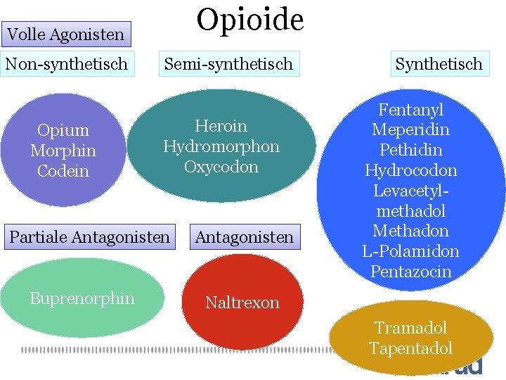 Opioide Volle Agonisten Non-synthetisch Opium Morphin Codein Semi-synthetisch Heroin Hydromorphon Oxycodon Partiale Antagonisten Buprenorphin