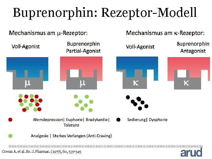 Buprenorphin: Rezeptor-Modell Cowan A. et al. Br. J. Pharmac. (1977), 60, 537 -545 