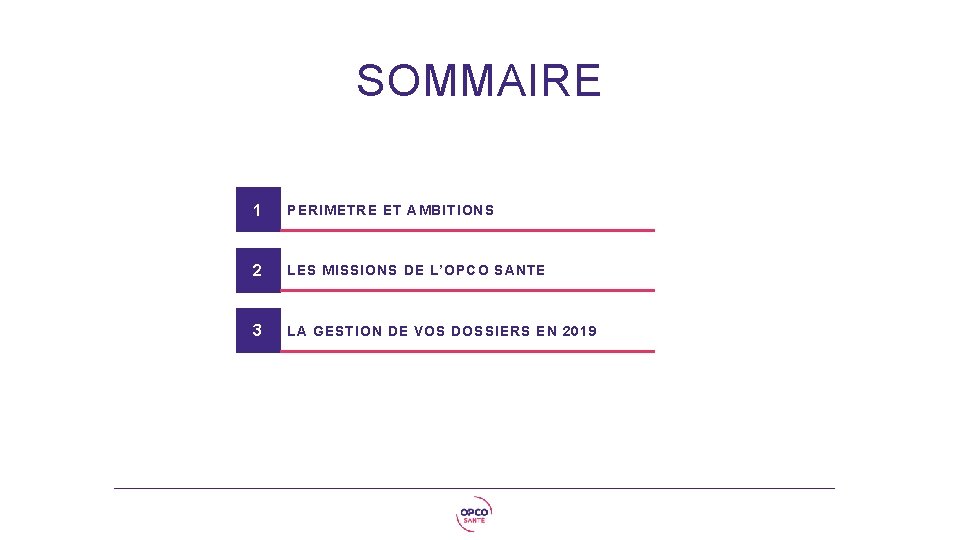 SOMMAIRE 1 PERIMETRE ET AMBITIONS 2 LES MISSIONS DE L’OPCO SANTE 3 LA GESTION