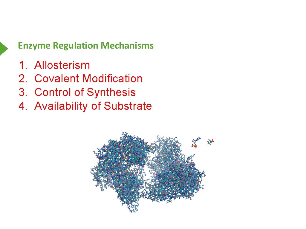 Enzyme Regulation Mechanisms 1. 2. 3. 4. Allosterism Covalent Modification Control of Synthesis Availability