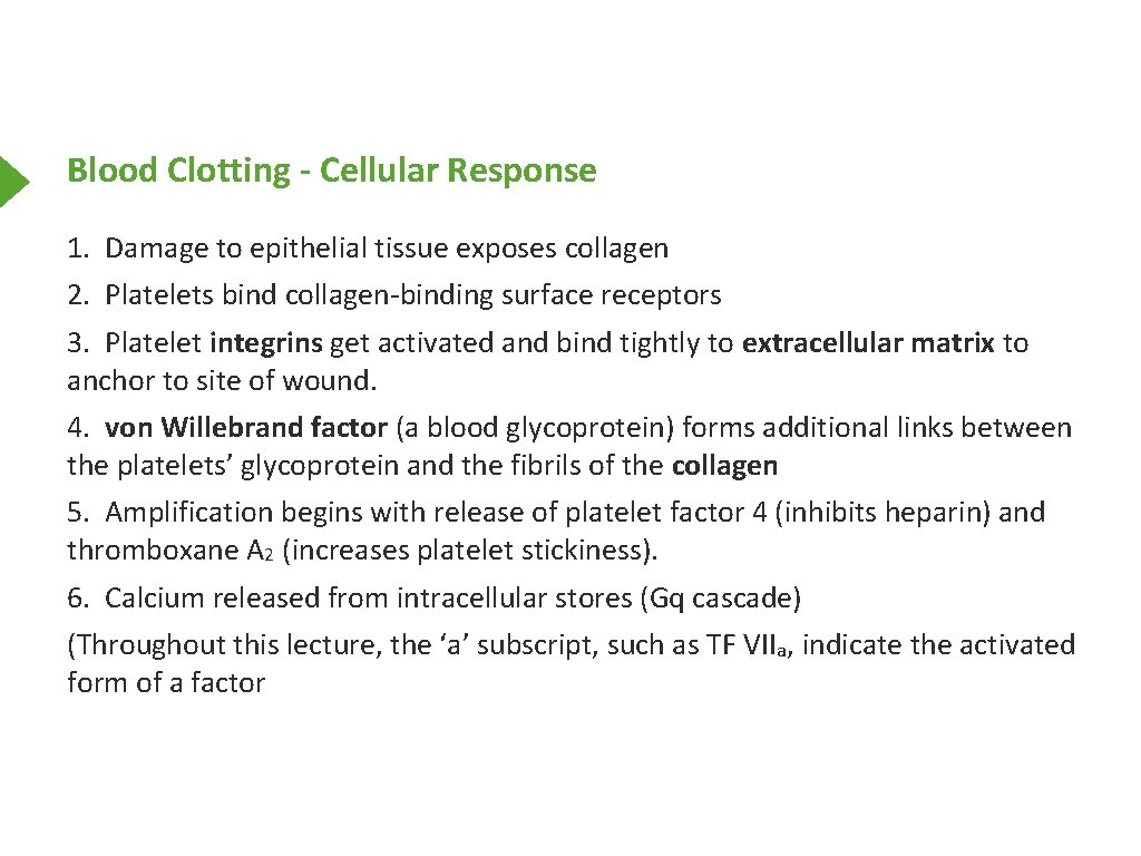 Blood Clotting - Cellular Response 1. Damage to epithelial tissue exposes collagen 2. Platelets