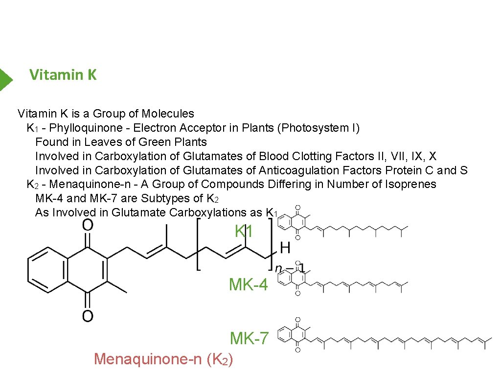 Vitamin K is a Group of Molecules K 1 - Phylloquinone - Electron Acceptor