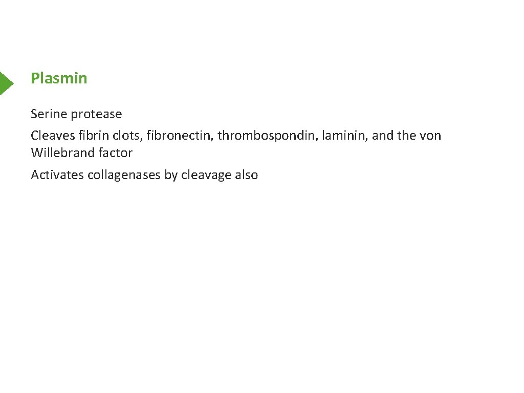 Plasmin Serine protease Cleaves fibrin clots, fibronectin, thrombospondin, laminin, and the von Willebrand factor