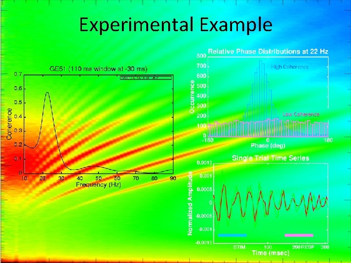 Experimental Example High Coherence Low Coherence 