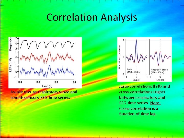 Correlation Analysis Awake mouse respiratory wave and somatosensory EEG time series. Auto-correlations (left) and
