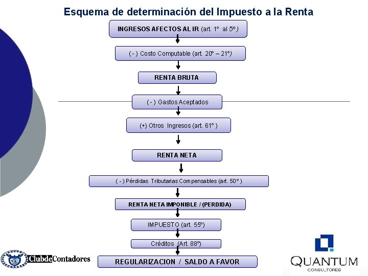 Esquema de determinación del Impuesto a la Renta INGRESOS AFECTOS AL IR (art. 1º