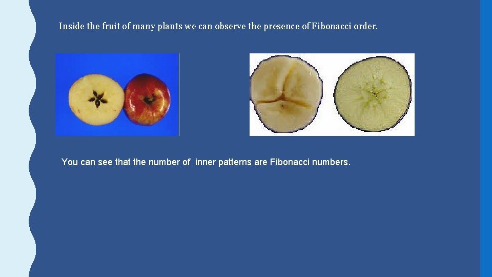 Inside the fruit of many plants we can observe the presence of Fibonacci order.