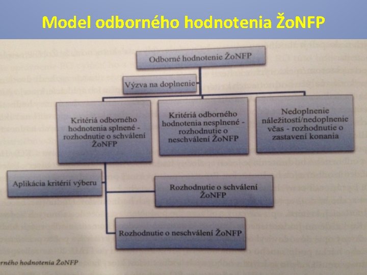 Model odborného hodnotenia Žo. NFP 