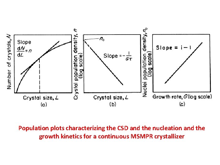 Population plots characterizing the CSD and the nucleation and the growth kinetics for a