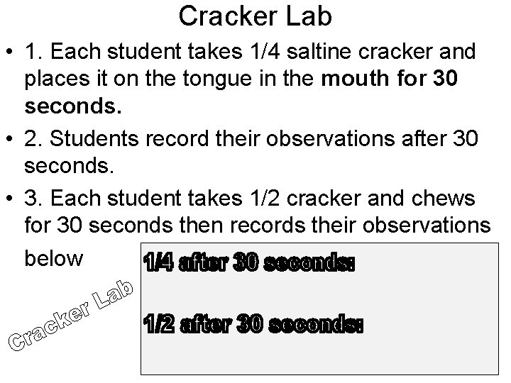 Cracker Lab • 1. Each student takes 1/4 saltine cracker and places it on