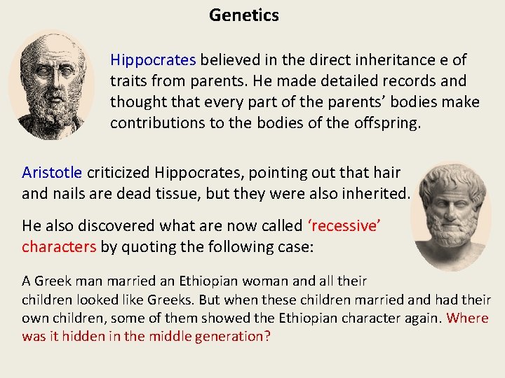 Genetics Hippocrates believed in the direct inheritance e of traits from parents. He made