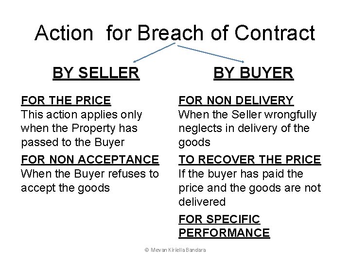 Action for Breach of Contract BY SELLER BY BUYER FOR THE PRICE This action