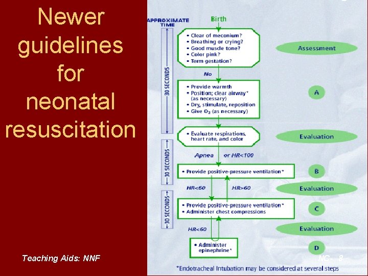 Newer guidelines for neonatal resuscitation Teaching Aids: NNF NC- 8 